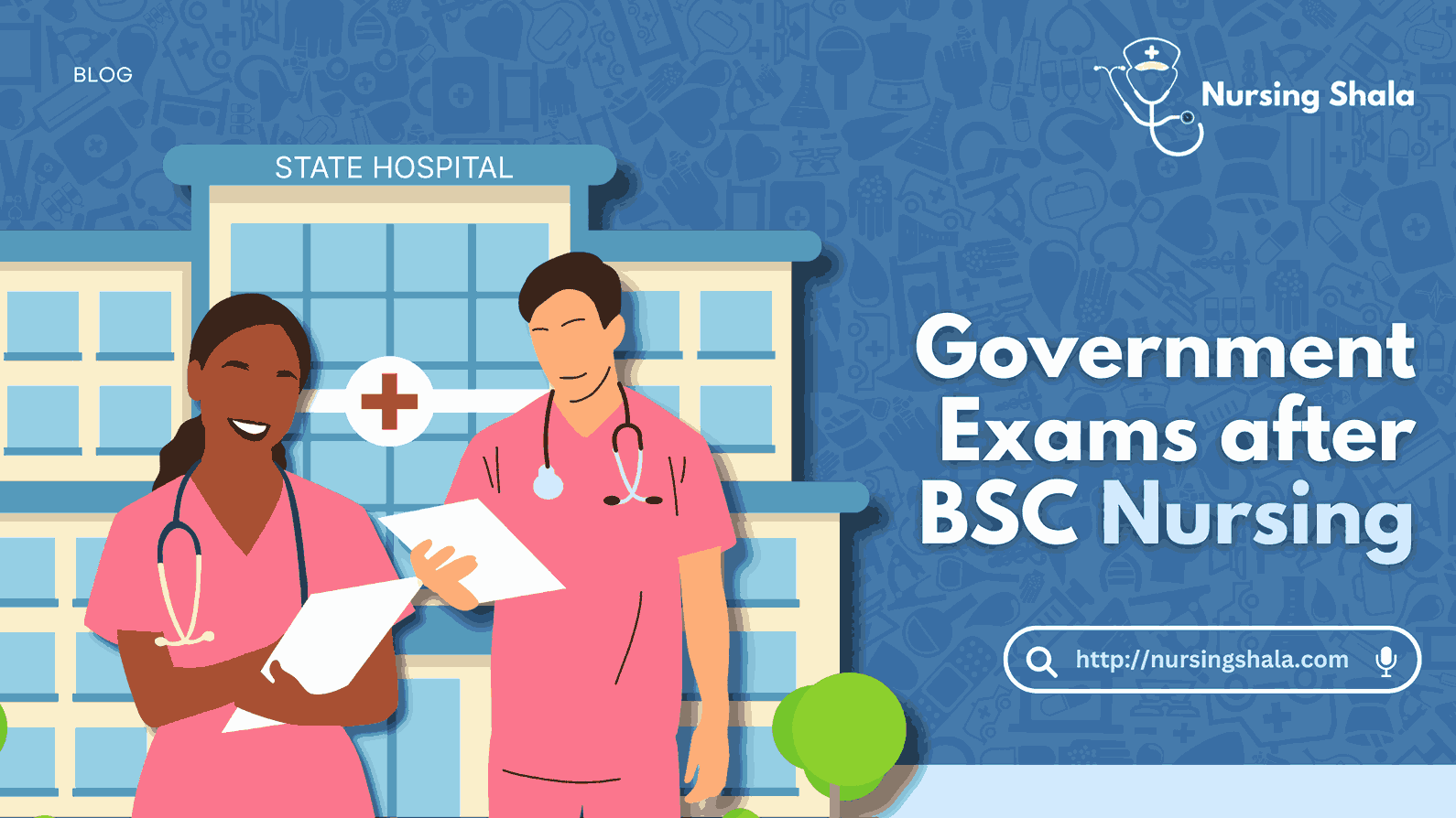 government exams after BSC nursing
